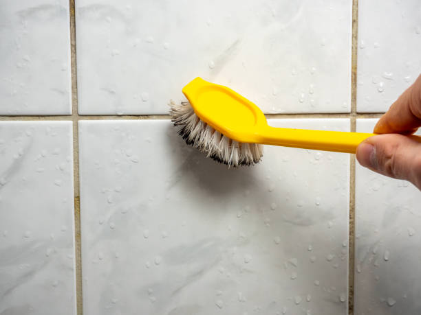 Best Mold Remediation  in Reno, NV