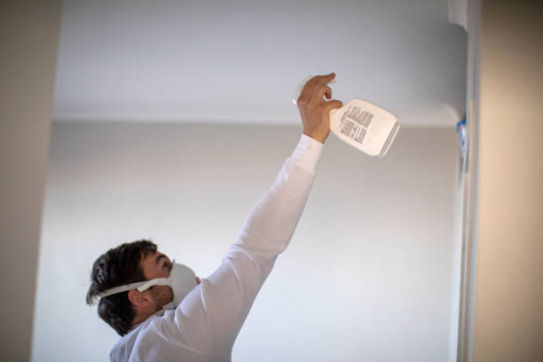 Best Crawl Space Mold Removal  in Reno, NV