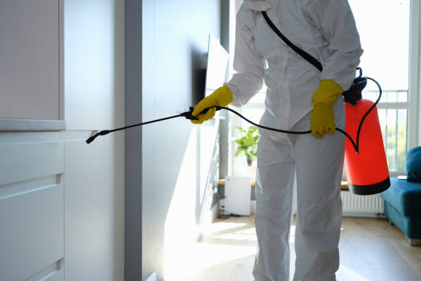 Best Mold Remediation Experts  in Reno, NV