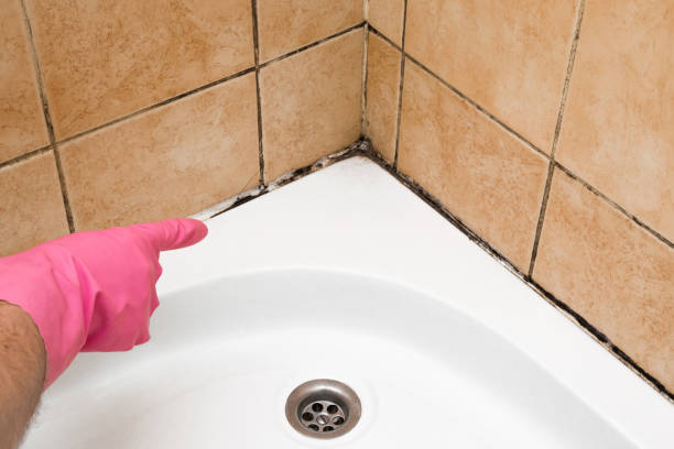 Best Mold Testing  in Reno, NV